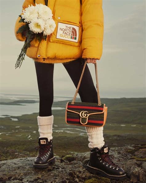 the north face gucci campaign